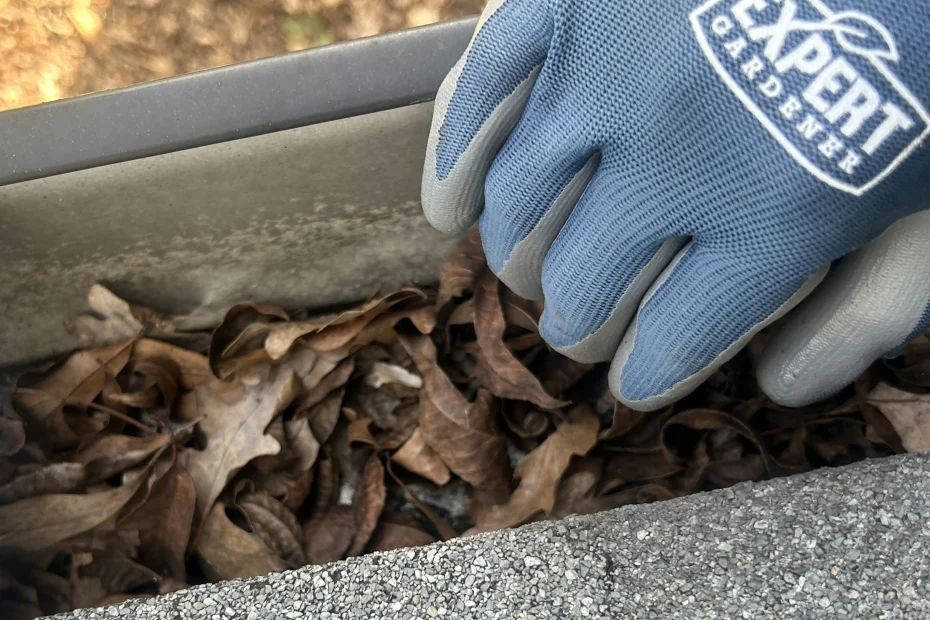 Gutter Cleaning Charlestown